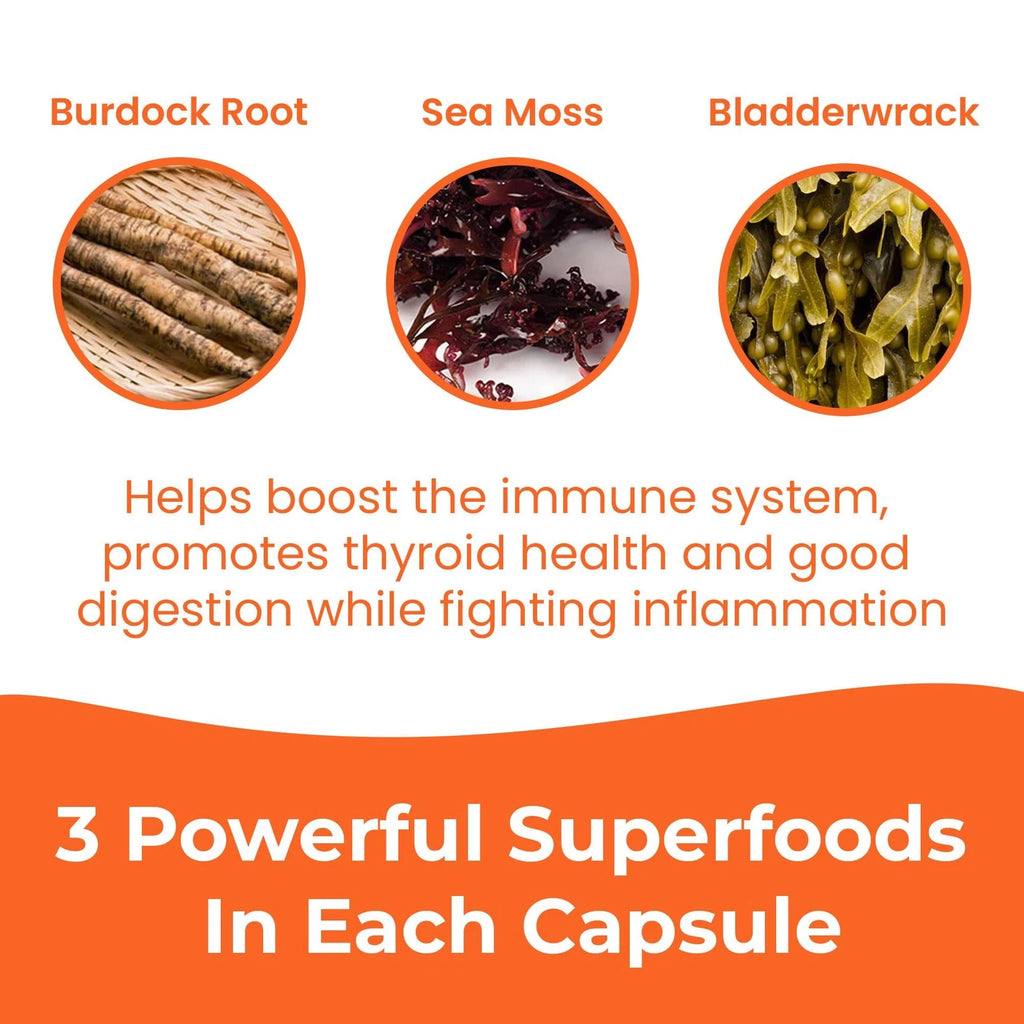 Infinite Age 1250mg Sea Moss Advanced Superfood Capsules | 60 Count | High Potency