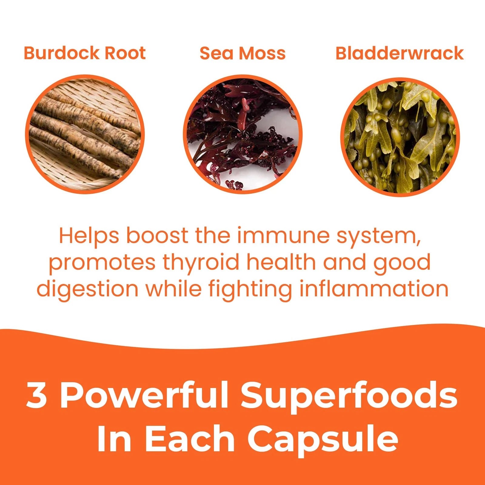 Infinite Age 1250mg Sea Moss Advanced Superfood Capsules | 60 Count | High Potency